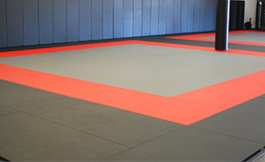 Boxeo - Tatami 1